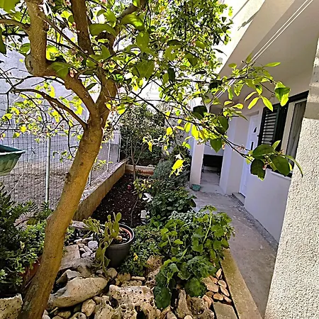 Apartment Cicibela *